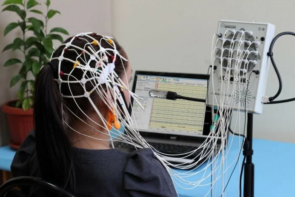 ээг щелково цена